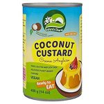 Nature's Charm Coconut Custard 400g